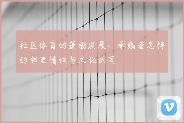 社区体育的蓬勃发展,承载着怎样的邻里情谊与文化认同